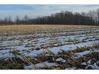Property photo 37 - FARMLAND AUCTION, 60+/- Acres in 6 Tracts ranging from 4 to 20 acres & in combinations!